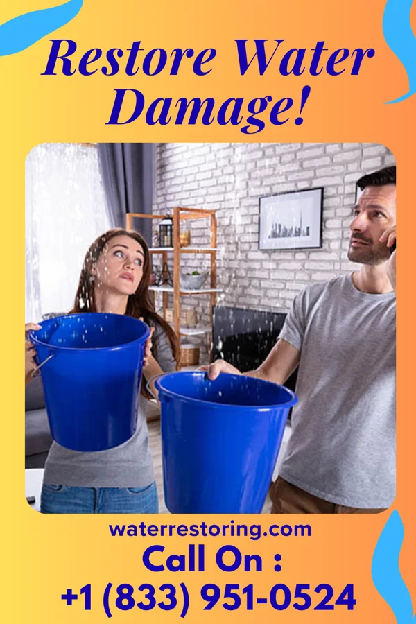 water restoration New Damage Recovery Carrollton