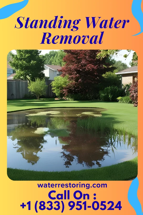 Standing Water Removal in Carrollton, MO